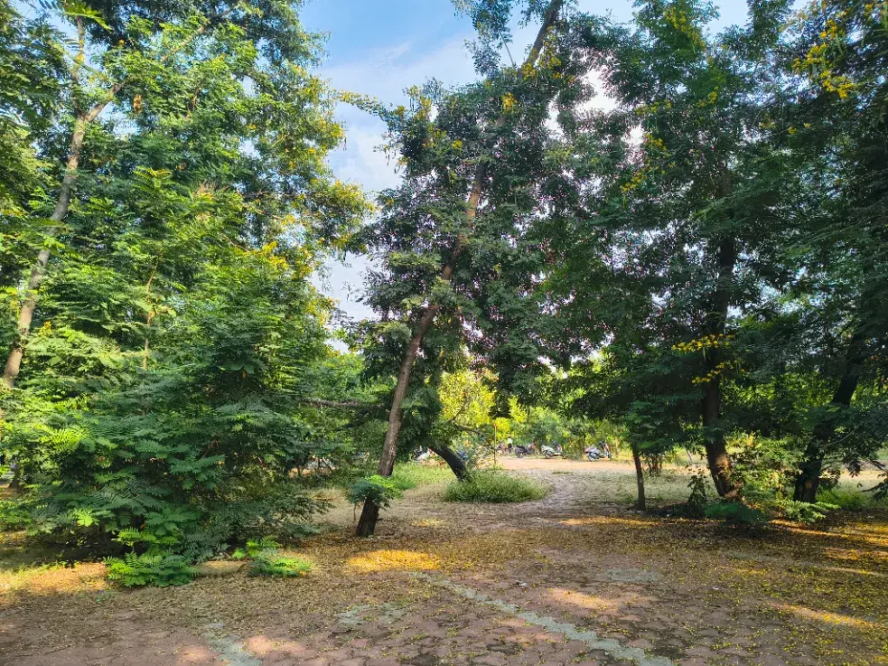 IMS Indore Campus photo 4